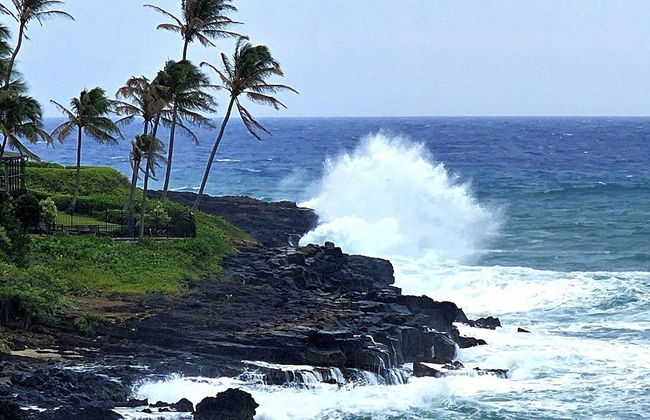 Castle Po'ipū Shores - Foto 15