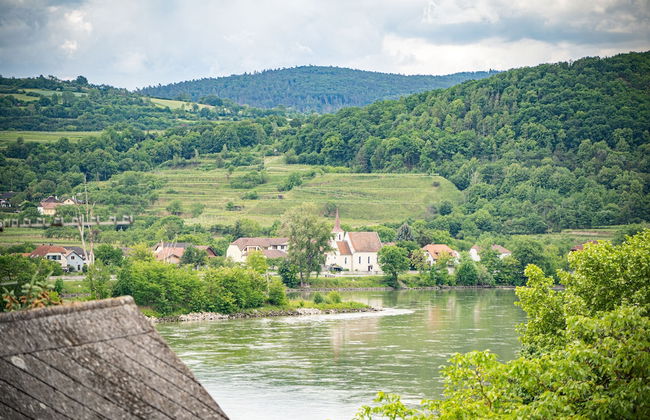 Wachau-Living - Foto 46