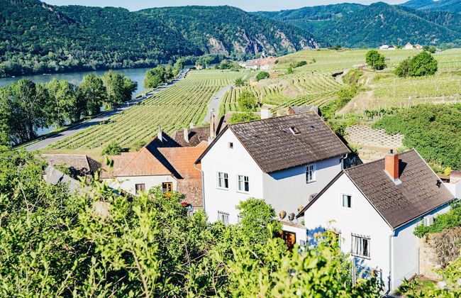 Wachau-Living - Foto 66