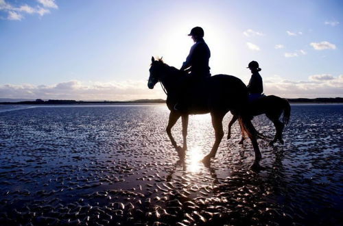 Photo 42 - Atlantic Sunset, Aughris