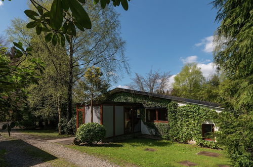 Photo 28 - Perfect Holiday Home in Waimes With Swimming Pool