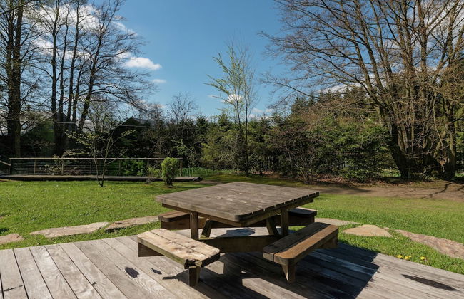 Perfect Holiday Home in Waimes With Swimming Pool - Foto 12