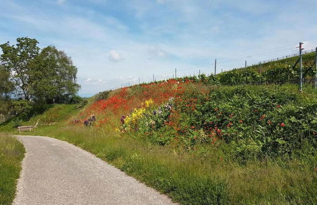Ferienwohnung in Bischoffingen - Foto 32