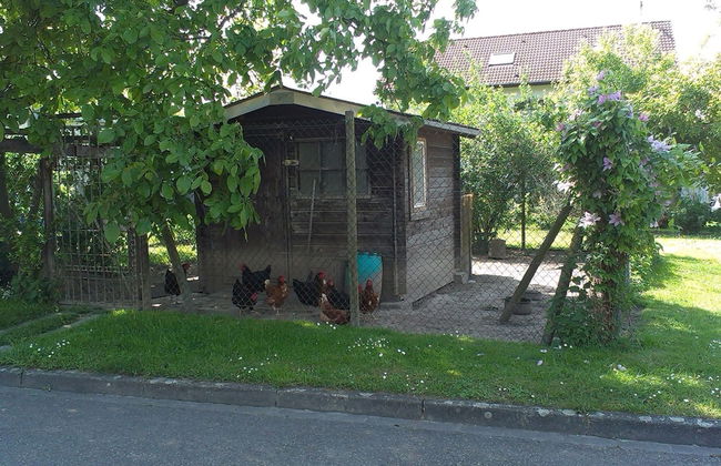 Ferienwohnung in Bischoffingen - Foto 16