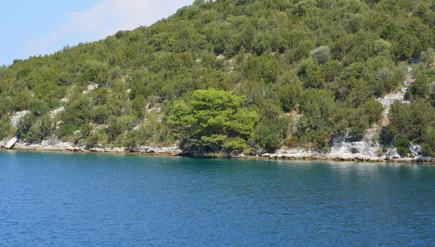 Lago