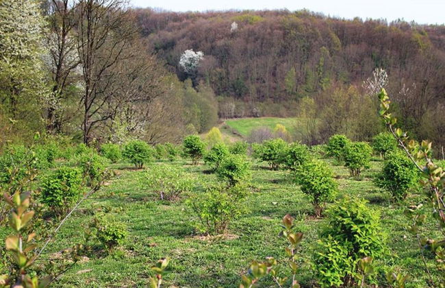 Delightful Holiday Home in Havidić Selo with Garden - Foto 33