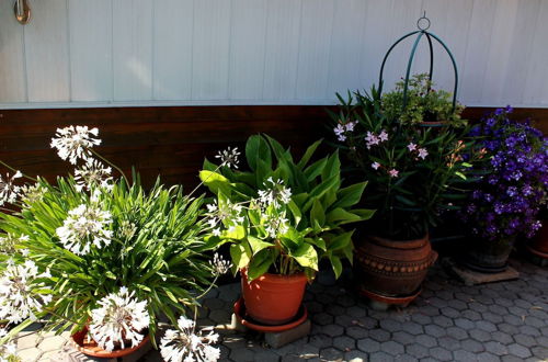 Photo 7 - Pretty Bungalow in Neubukow With Garden, Roof Terrace, BBQ