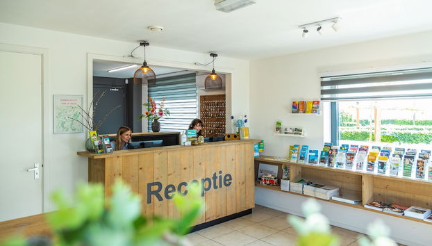 Rezeption