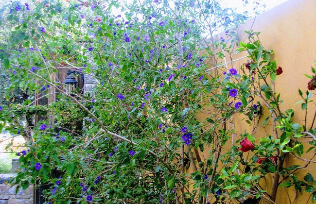 Villa Paradise - Photo 38