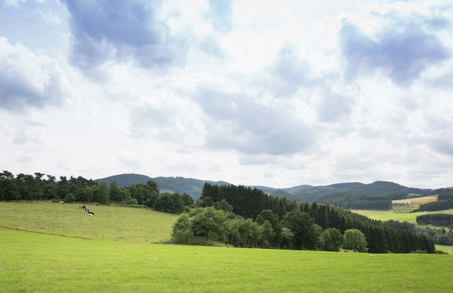Ferienhaus in Hessen mit Grossem Garten - Foto 36