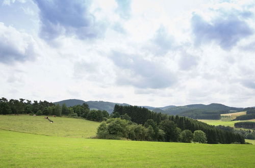 Photo 24 - Holiday Home in Hesse With Large Garden