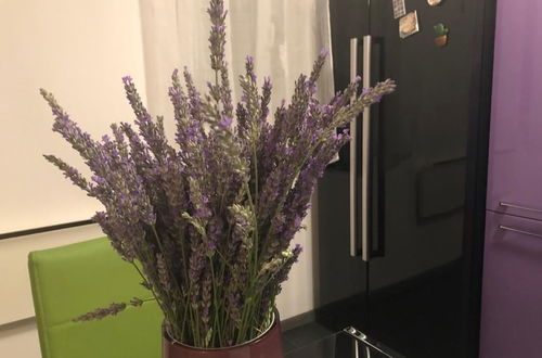 Photo 29 - Casa di Lavanda