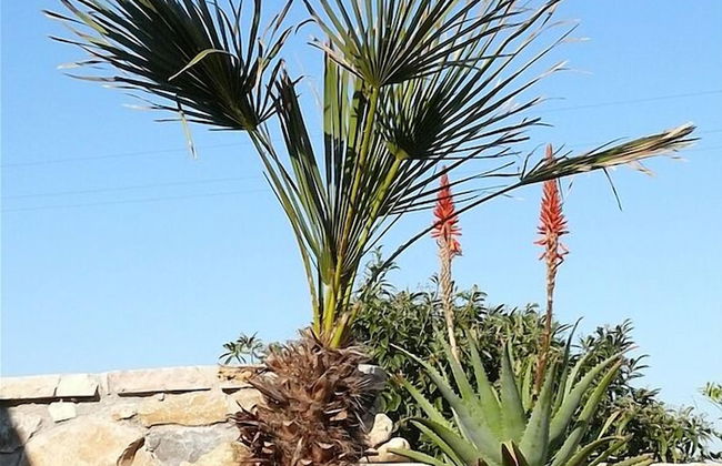 Agriturismo Agave - Foto 21