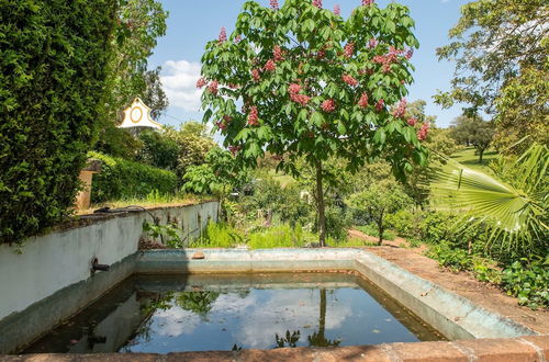 Photo 23 - Idyllic Farmhouse in Montemor-o-novo With Pool