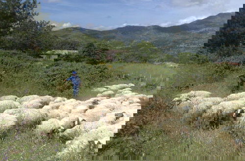 Foto 50 - Locanda di Cadì