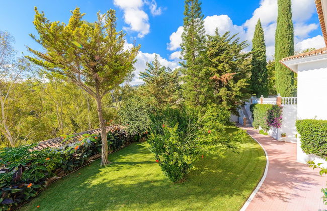 Cubo's Villa las Colinas - Photo 42