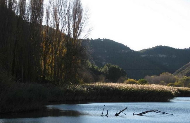 Casa Rural Río Tranquilo I - Photo 48