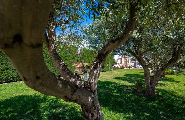 Ville del Papiro - Photo 33