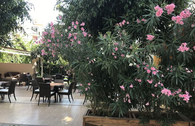 Narcis Apart Hotel - Foto 23