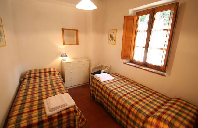 Fattoria Gambaro di Petrognano - Foto 19