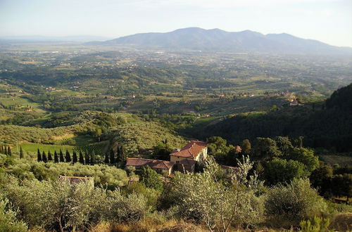 Photo 79 - Fattoria Gambaro di Petrognano