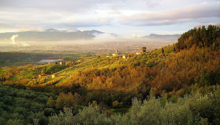 Foto 1 - Fattoria Gambaro di Petrognano