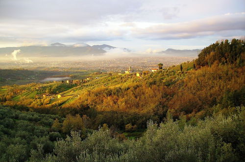 Foto 1 - Fattoria Gambaro di Petrognano