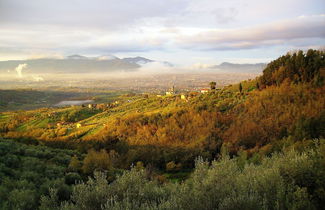 Photo 1 - Fattoria Gambaro di Petrognano