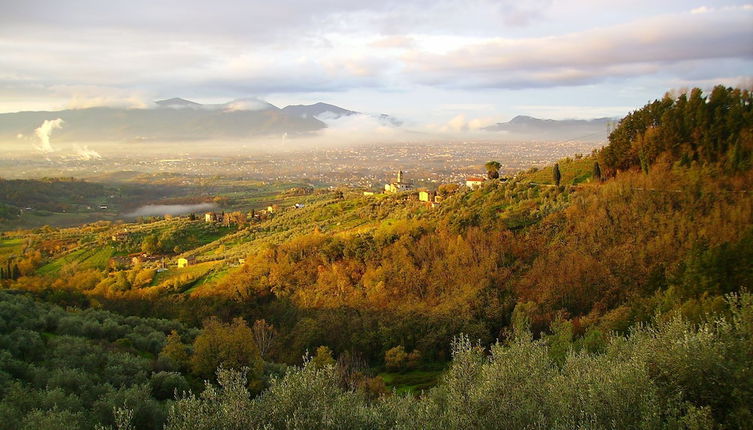 Photo 1 - Fattoria Gambaro di Petrognano