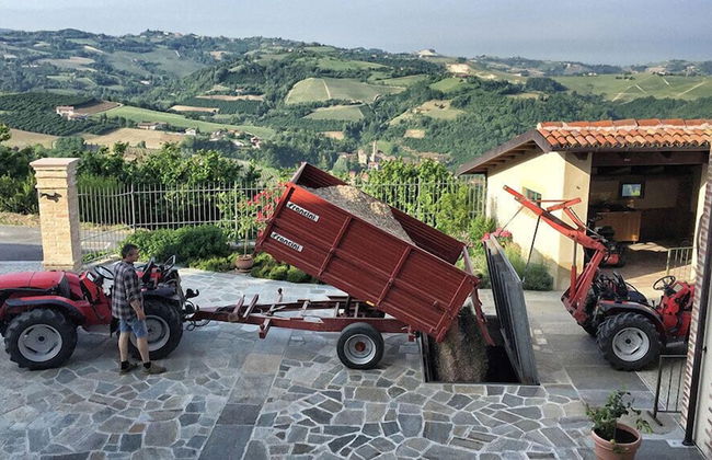 Tenuta Bricchi - Foto 35