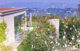 Photo 1 - Tenuta Bricchi