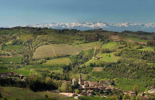 Tenuta Bricchi - Foto 41