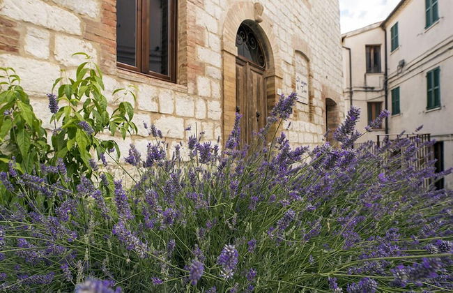 Il Sogno di Tino - Foto 76