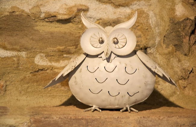 Il Sogno di Tino - Foto 62