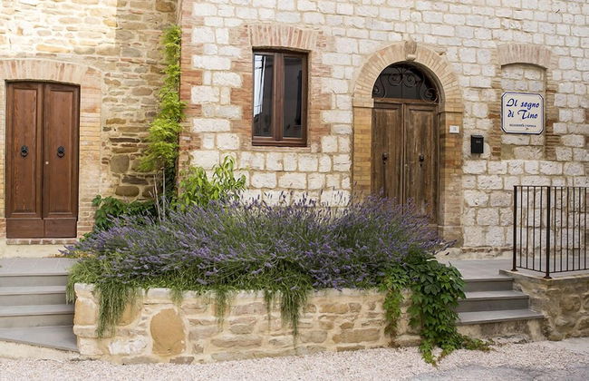 Il Sogno di Tino - Photo 68