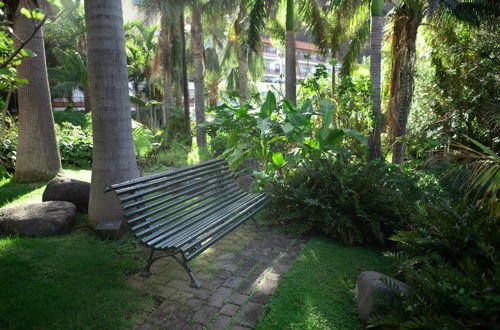 Photo 47 - Hacienda San Jorge