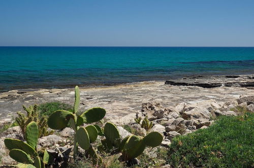 Photo 17 - Cala Sol - Giglio