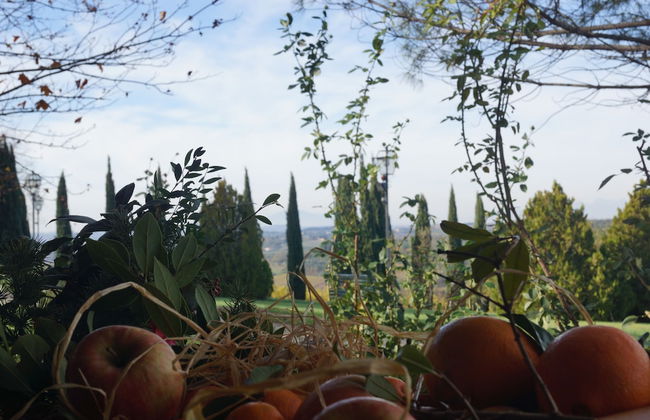 Villa Panconesi - Foto 48
