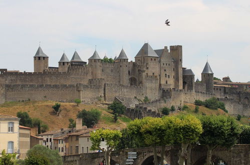 Photo 29 - VVF Le Pays Cathare Carcassonne, Saissac