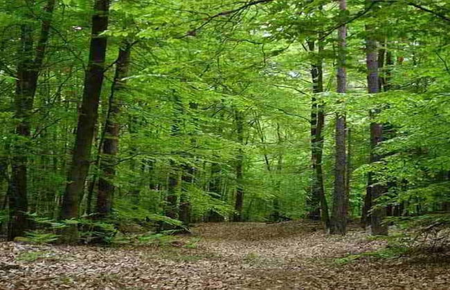 Residenza Montegrappa - Photo 47