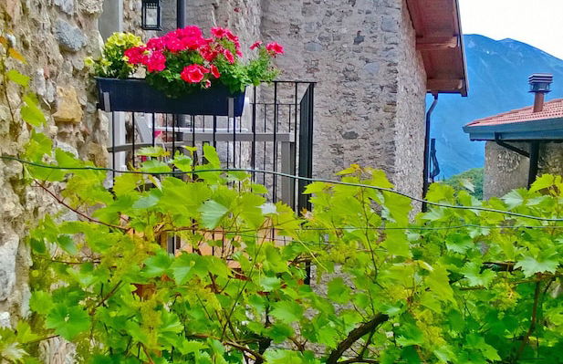 Casa del Borgo il Picchio - Photo 19