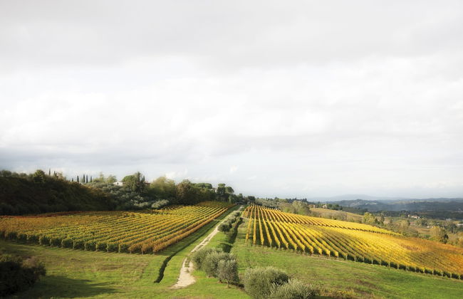 Poderi Arcangelo - Foto 63