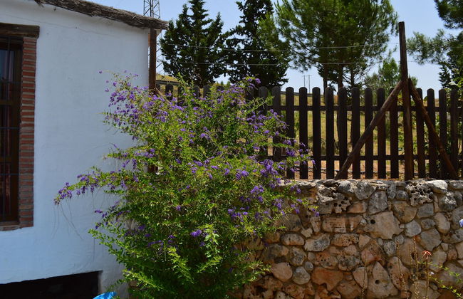Cortijo Veracruz - Foto 69