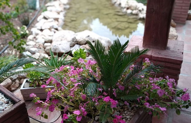 Cortijo Veracruz - Foto 63