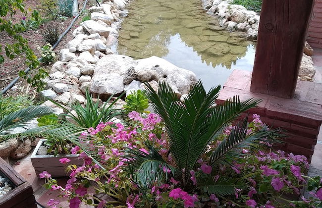 Cortijo Veracruz - Foto 61