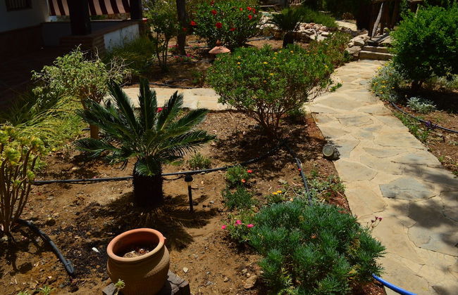 Cortijo Veracruz - Foto 68
