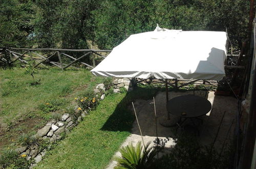 Foto 43 - Gli Ulivi Agriturismo