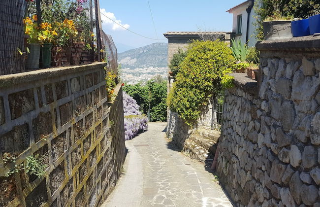 Gli Ulivi Agriturismo - Photo 70