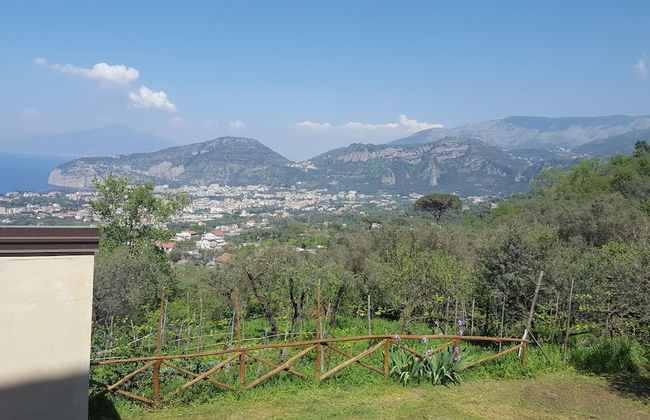 Gli Ulivi Agriturismo - Photo 51
