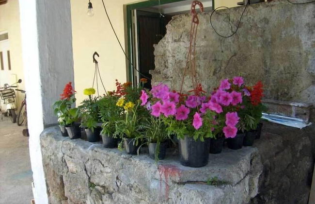 Gli Ulivi Agriturismo - Photo 71